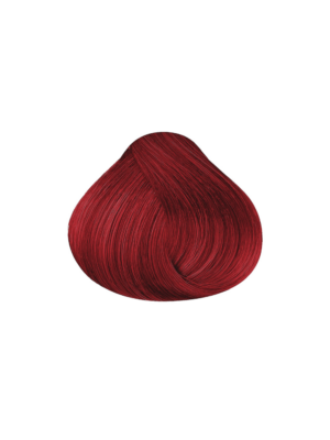 Maxybelt 8-4 Light Reddish Blonde 100Gr