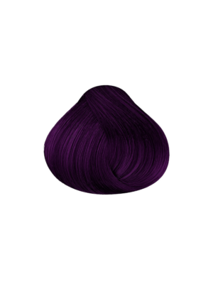 Maxybelt 4-6 Medium Violet Chestnut 100Gr