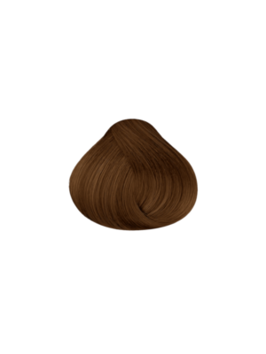 Maxybelt 7-3 Natural Essence Hazelnut 60g