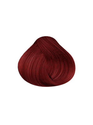 Maxybelt 6-45 Mahogany Reddish Blonde 100Gr