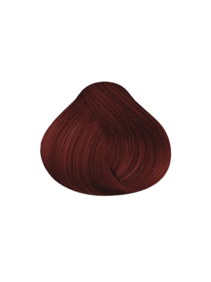 Maxybelt 5-4 Light Reddish Brown 100Gr
